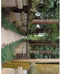 平林寺 | 大河内松平家廟所 の横の立ち入り禁止の参道(その他)