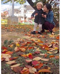 お母ちゃんと。 | その他