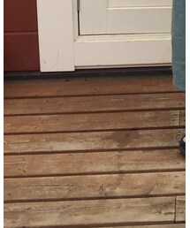 Reebok | スニーカー