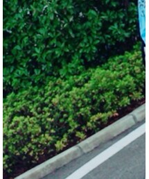 Reebok | スニーカー