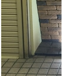 頂き物 | ドレスシューズ