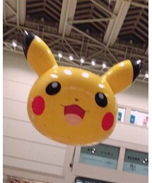 ピカチュウ | その他
