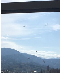 とり🦅 | その他