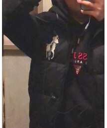 POLO RALPH LAUREN | ダウンベスト