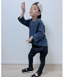 パラサウロロフス | その他