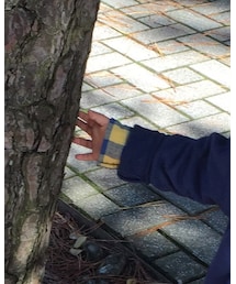 H&M | シャツ/ブラウス