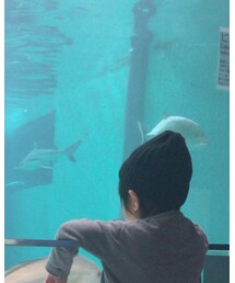 しまむら | ニットキャップ/ビーニー