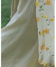 auld cat | ワンピース