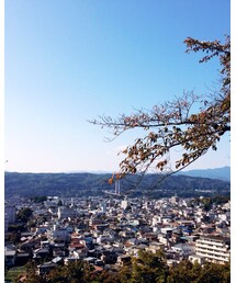 見晴らしの丘 | その他