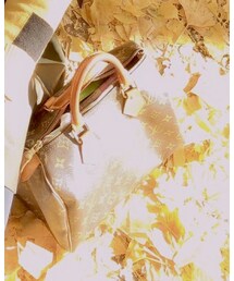 LOUIS VUITTON | ボストンバッグ