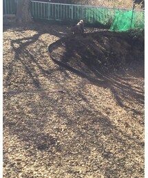 ぼたもち | その他