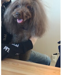 ぼたもち | その他