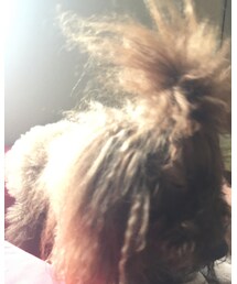 ぼたもち | バッジ