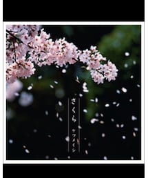 本日の一曲 | CD