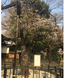 嘘つき野郎 | その他