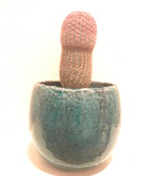 紫サボテン | その他雑貨