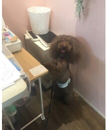 ぼたもち | その他