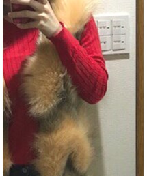 SPIGA | その他トップス