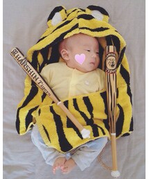 がんばれタイガース🐯 | その他