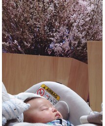 お花見🌸🌸 | その他