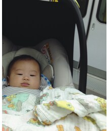 初🚃電車 | その他