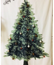 タペストリーツリー | その他