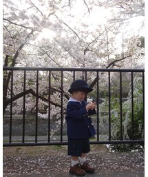 桜 | その他