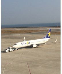 スカイマーク | その他