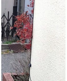 THE NORTH FACE | ショルダーバッグ