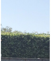 DONOBAN | カーディガン/ボレロ