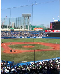 神宮球場💕 | その他