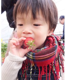 🍓 | その他