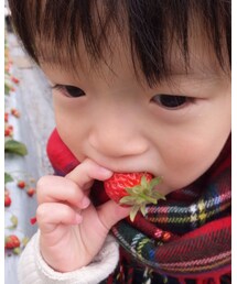 🍓🍓 | その他