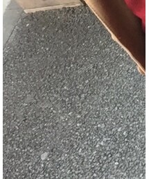 HAMILTON | アナログ腕時計