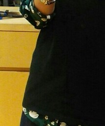 HANES | Tシャツ/カットソー