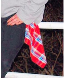 Hollister | シャツ/ブラウス