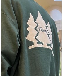 Champion | スウェット