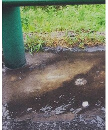 其他 | ワンピース