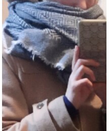 ZARA | ストール/ショール