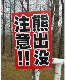 📷📷📷 | その他