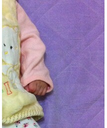 absorba | その他トップス