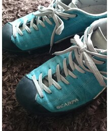 SCARPA | スニーカー