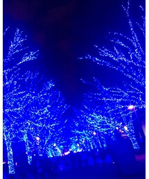 青の洞窟 | その他