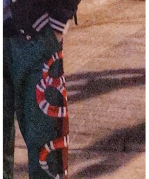 GUCCI | チノパンツ