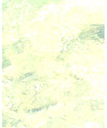 Great Barrier Reef | その他