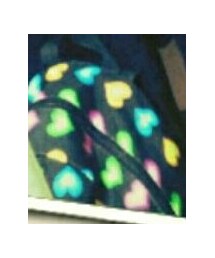 Dickies | バックパック/リュック