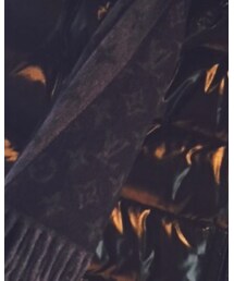 LOUIS VUITTON | マフラー