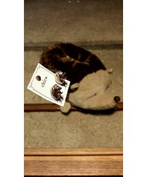 3coins | ピアス（両耳用）