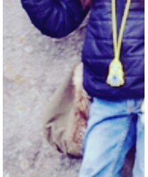 こども ビームス | モッズコート