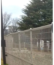 THE NORTH FACE | キャップ